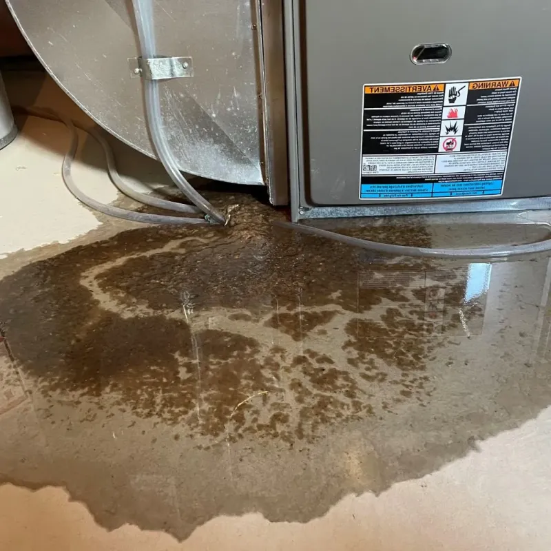 Pipe Burst and Leak Restoration in Midway, PA