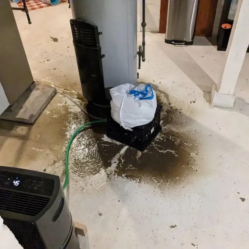 Sewage Backup Cleanup Service in Midway, PA
